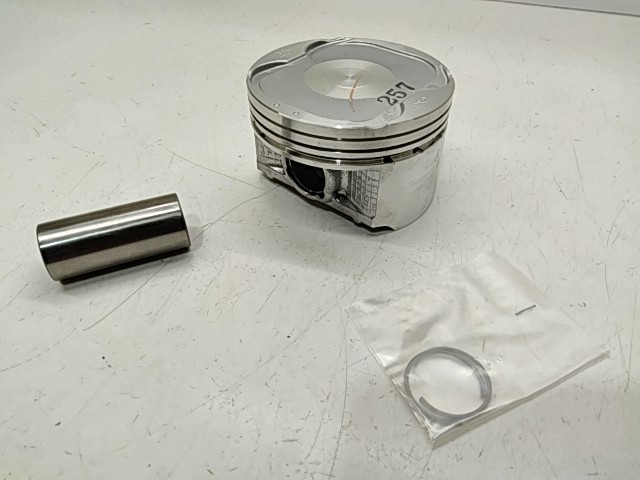 Piston - 2000 Polaris NOS