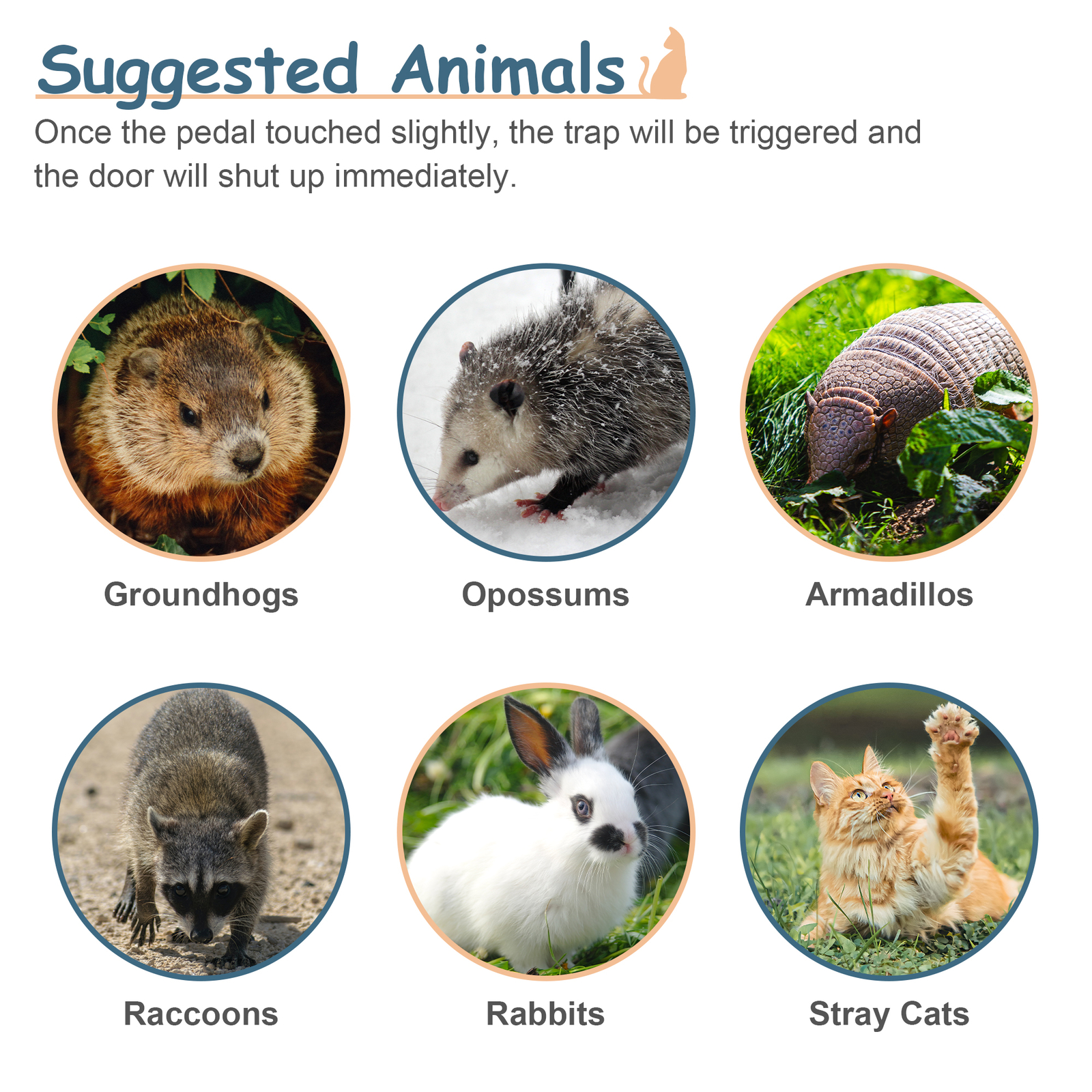 Live Animal Cage Trap 32" X 12.5" X 12" Humane Rodent Raccoon Cage w/Iron Door