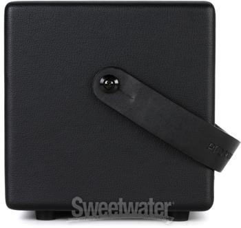 Positive Grid Spark Combo Amp