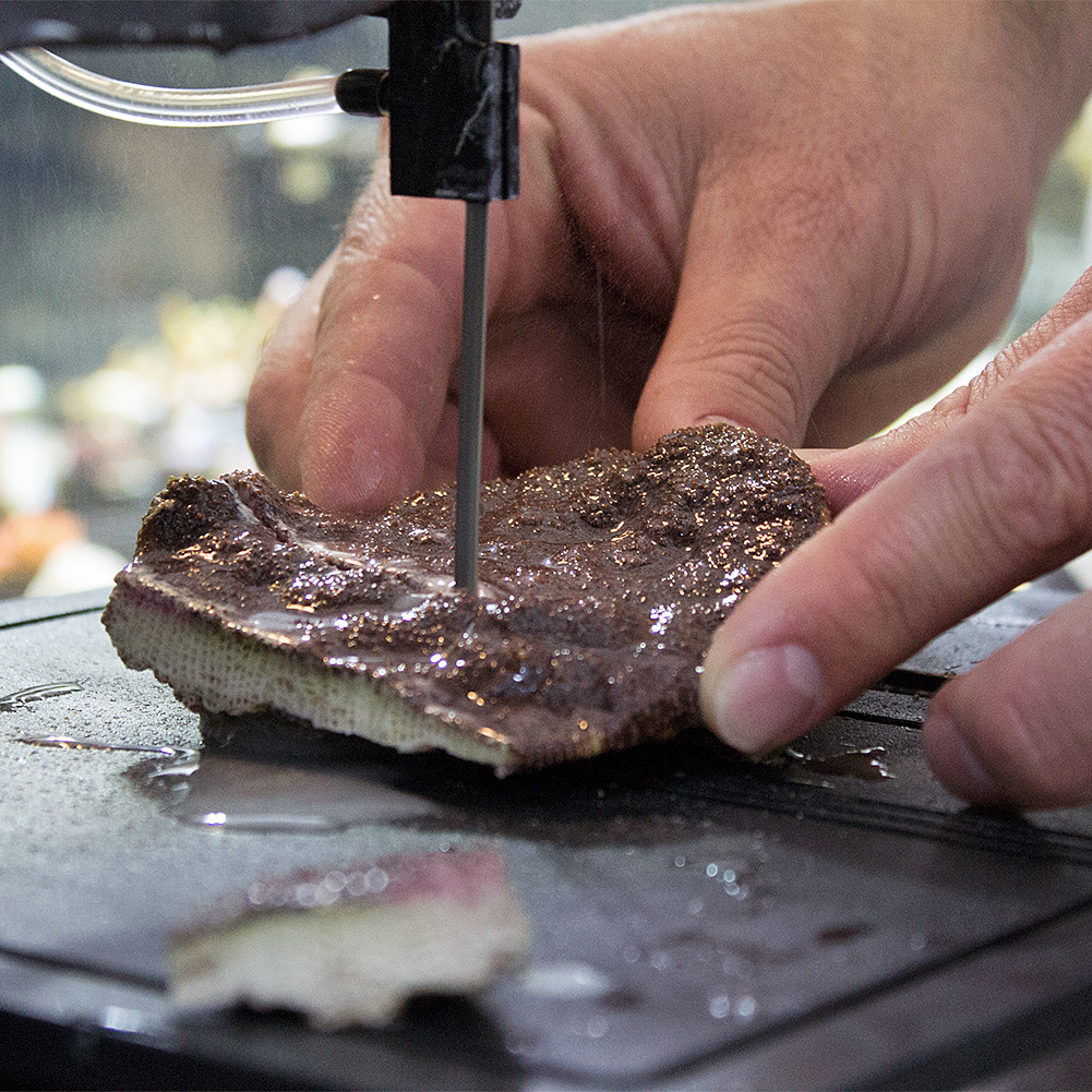 Inland Craft DB-100 Band Saw | Tabletop Saw | Includes Diamond Band Saw Blade