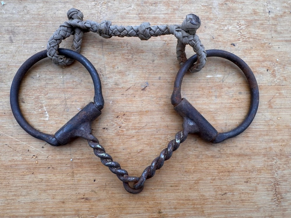 Sweet Iron Twisted Western Dee Ring Snaffle Bit ~ 5" ~ Dutton ?