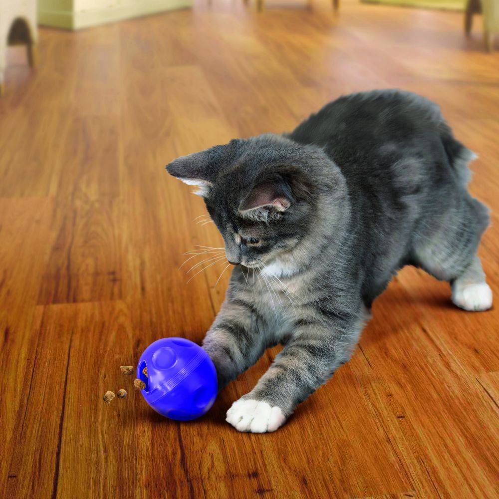 KONG Active Cat Treat Dispensing Ball