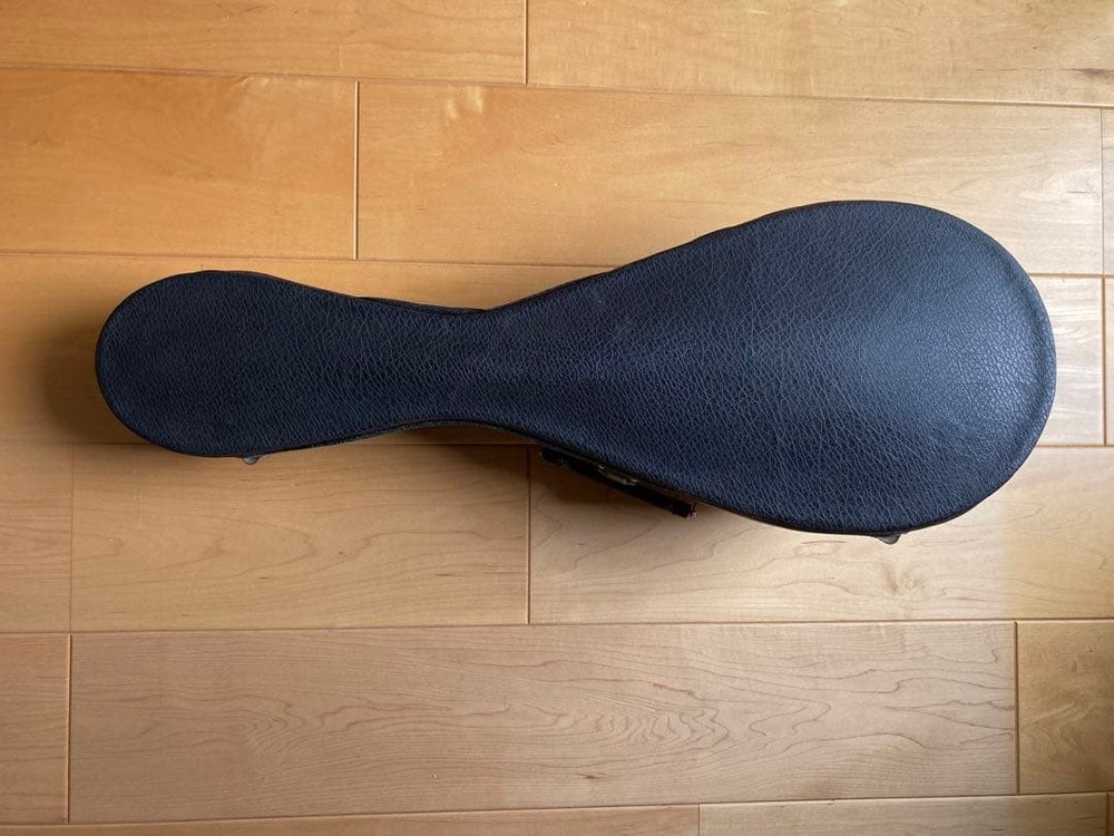 Mandolin 8 string spruce body