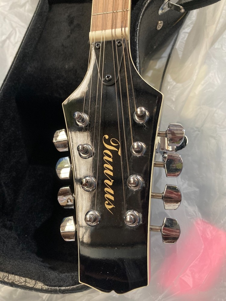 Taurus Mandolin TM-001 (Damaged case)