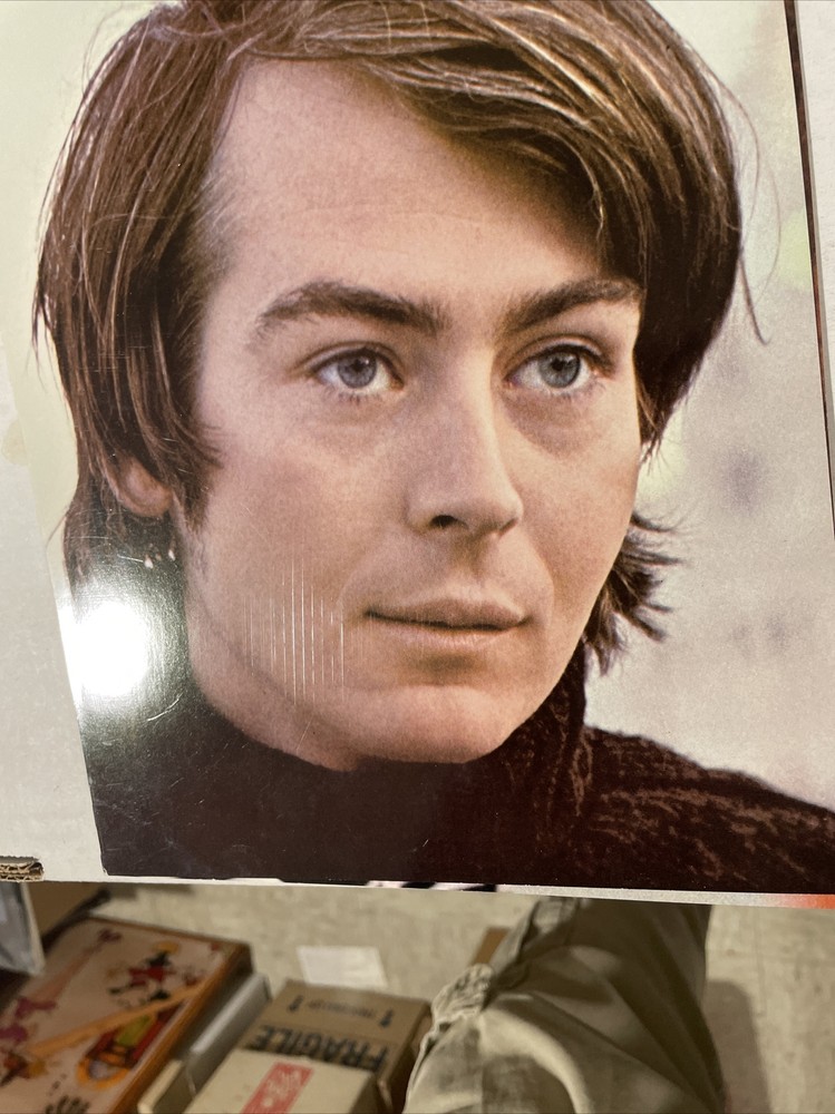 Lovin’ Spoonful Record Portrait X 4