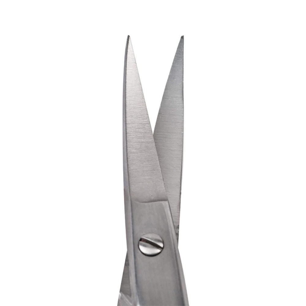 Curved Kelly Scissors