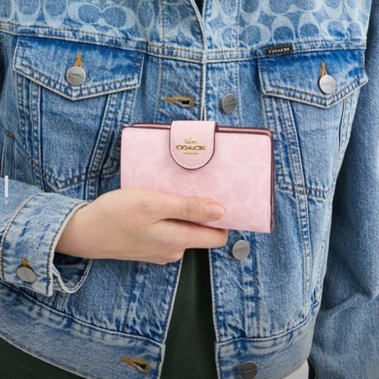 Wallet In Signature Pink with Logo CW786