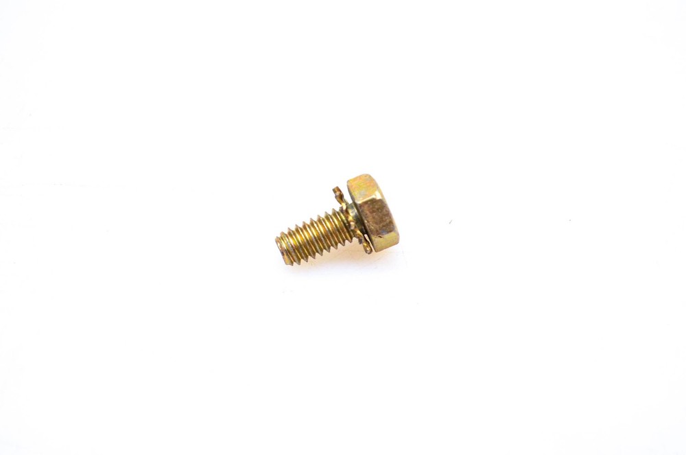 OMC 313117 Screw NOS