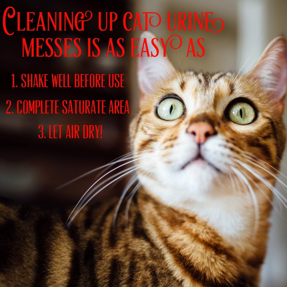 Instantly Cat Urine Odor Remover & Eliminator Cleaning Solution Oxidizer Based