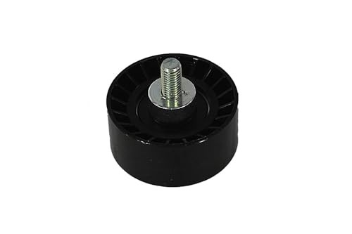 25191263 Timing Belt Idler Pulley