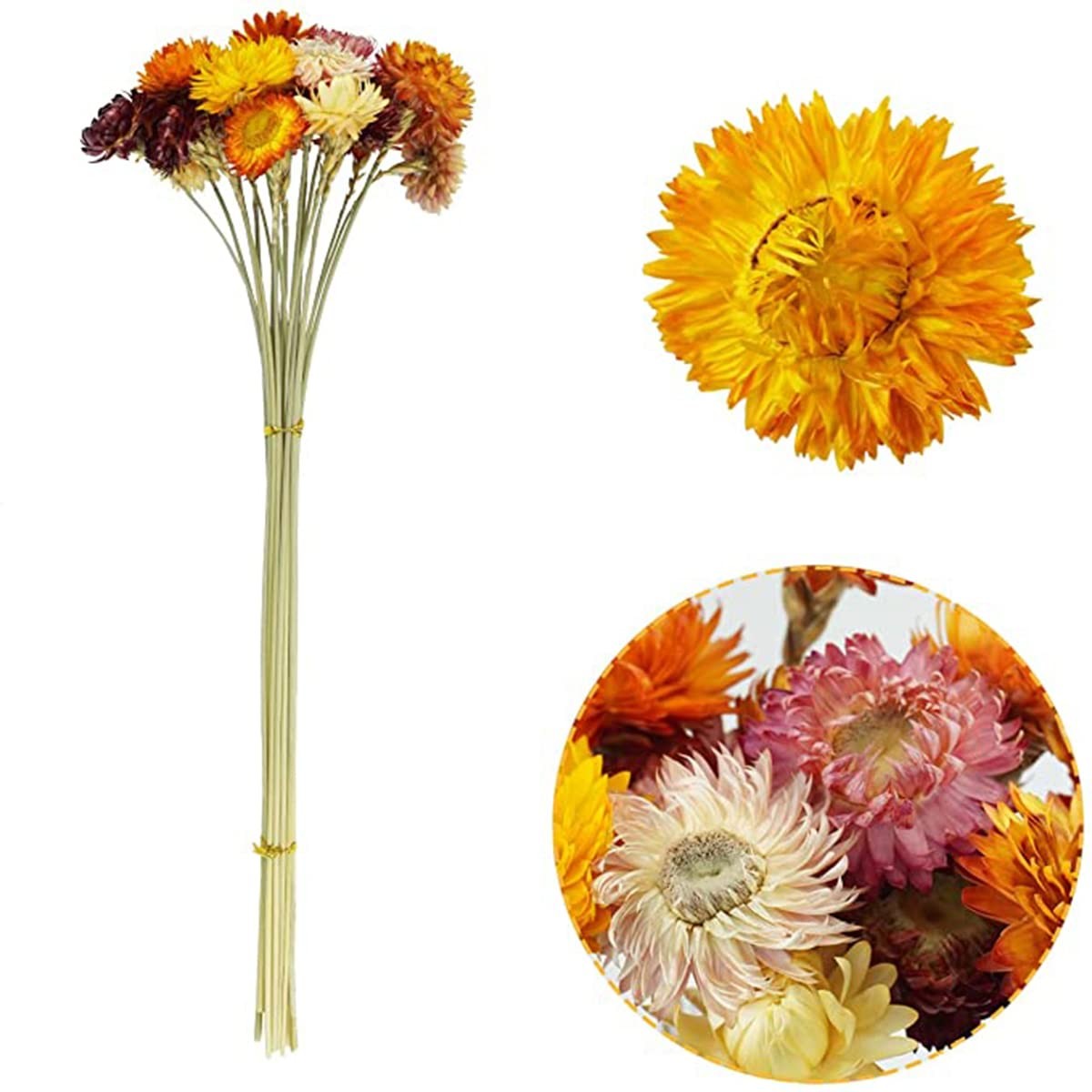 TooGet 40 Pcs Natural Dried Daisies, Daisy Flowers Bouquet with