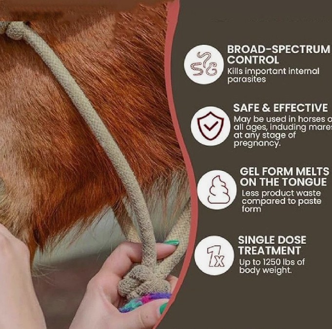 2 Pack New Paste Wormer Horse Dewormer Apple Flavor US Free Shipping