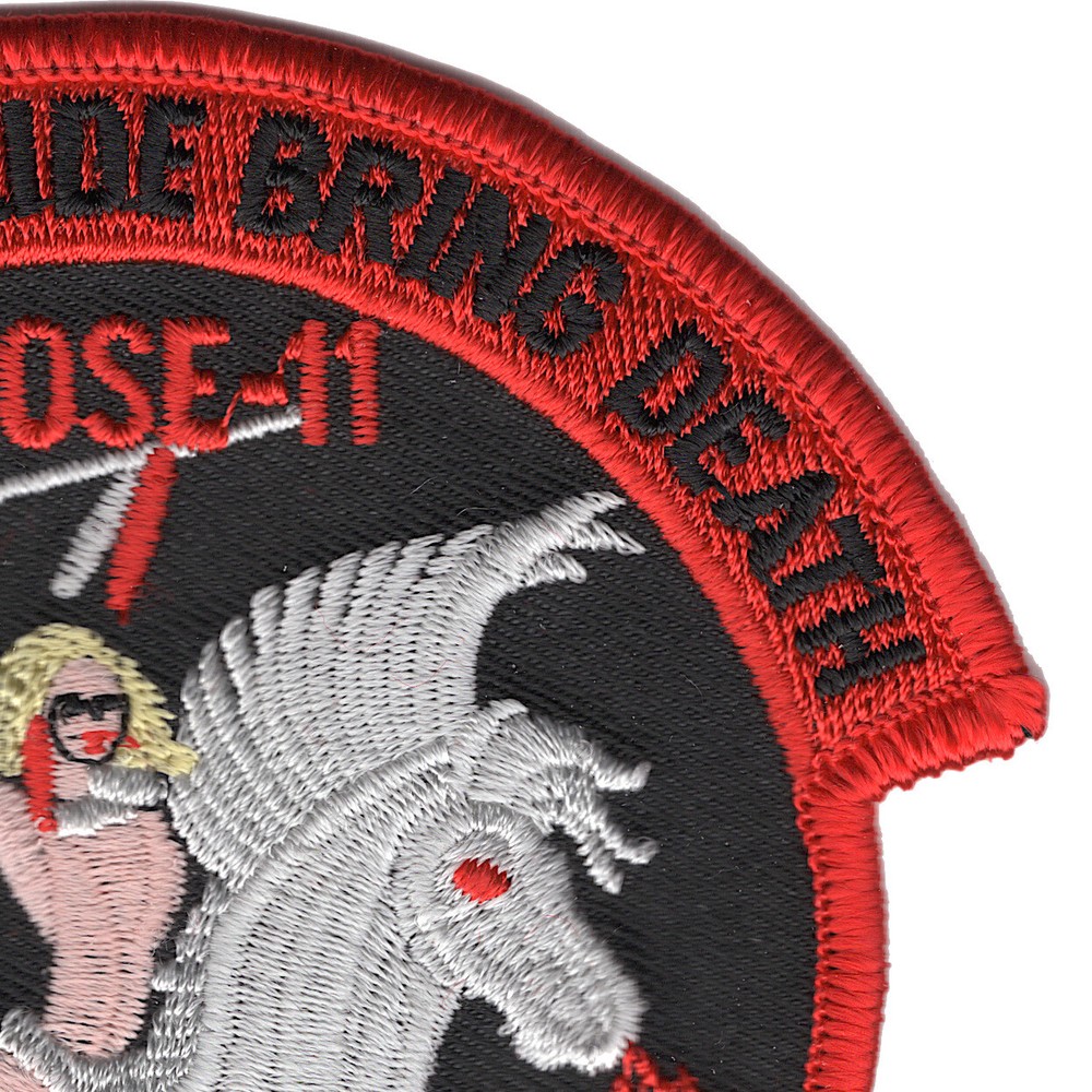 1st SOS Goose-11 Patch