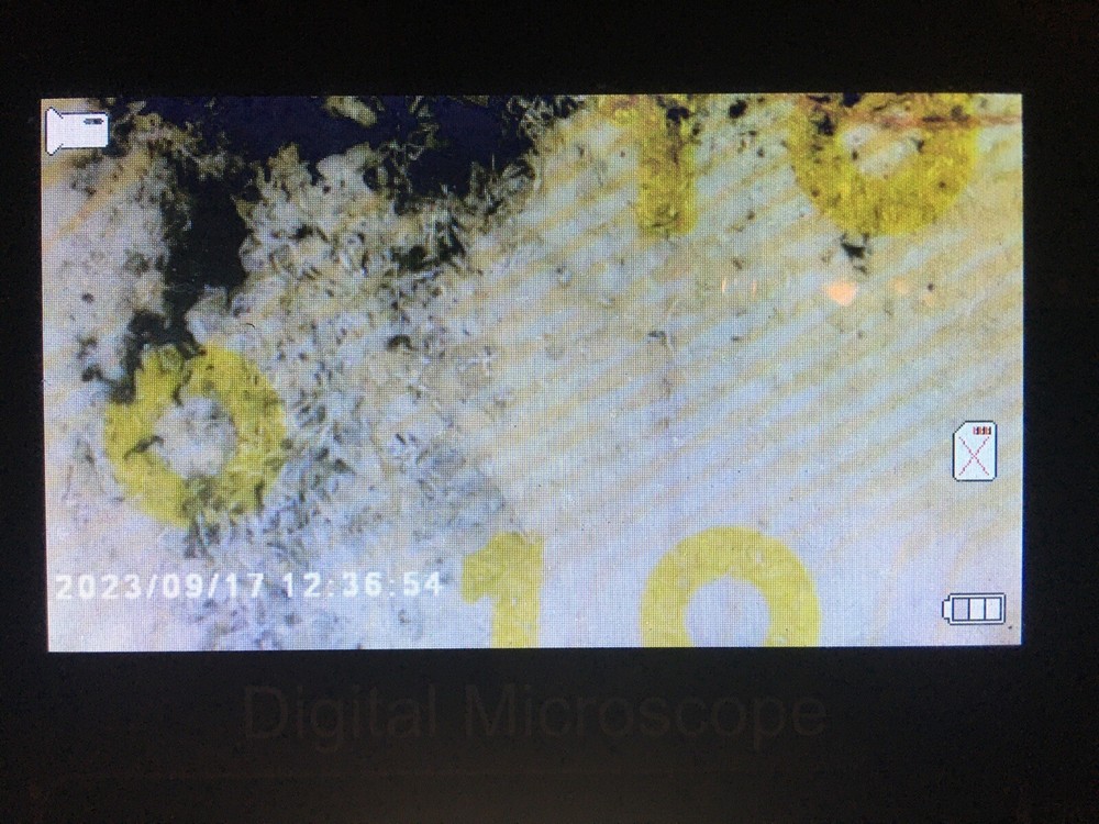 Fancy $10 Bill Error w/Obverse Ink Smear