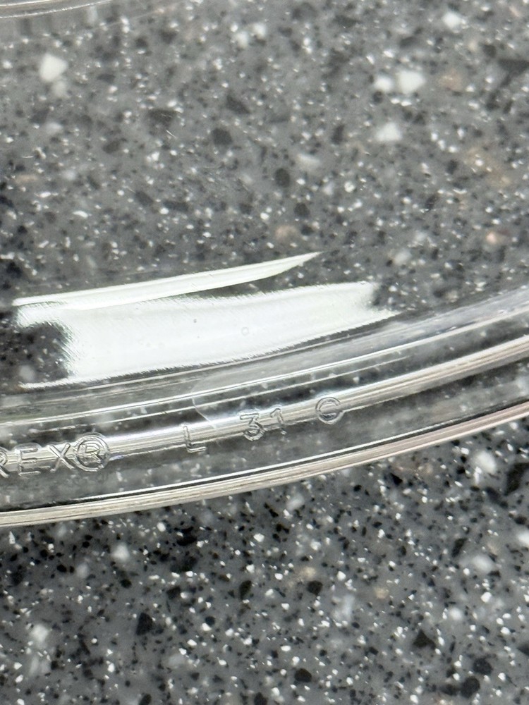 Replacement Pyrex Lid Oval Glass Lid L 31 With D Handle