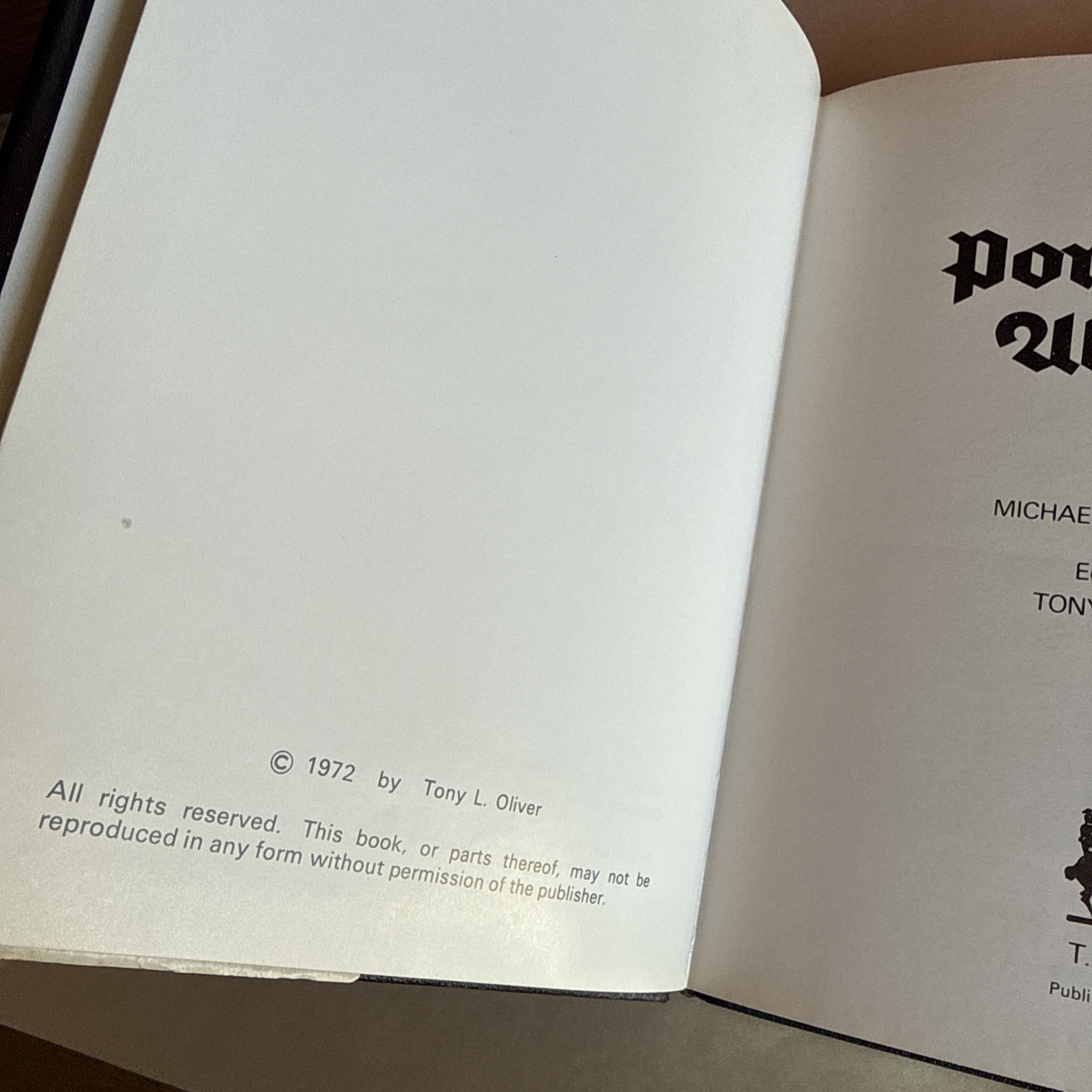 RARE SS Porcelain Allach Book by Michael J. Passmore, TLO Publications 1972 1st.