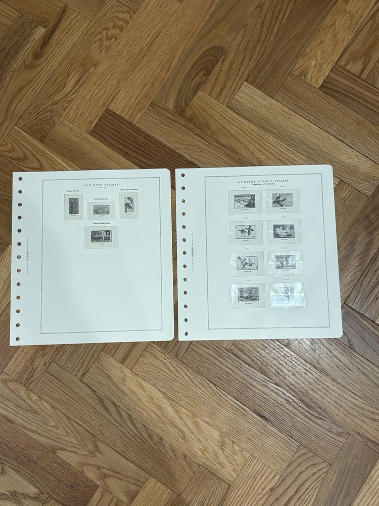 Scott Platinum Hingeless Pages For Years 1965-1976