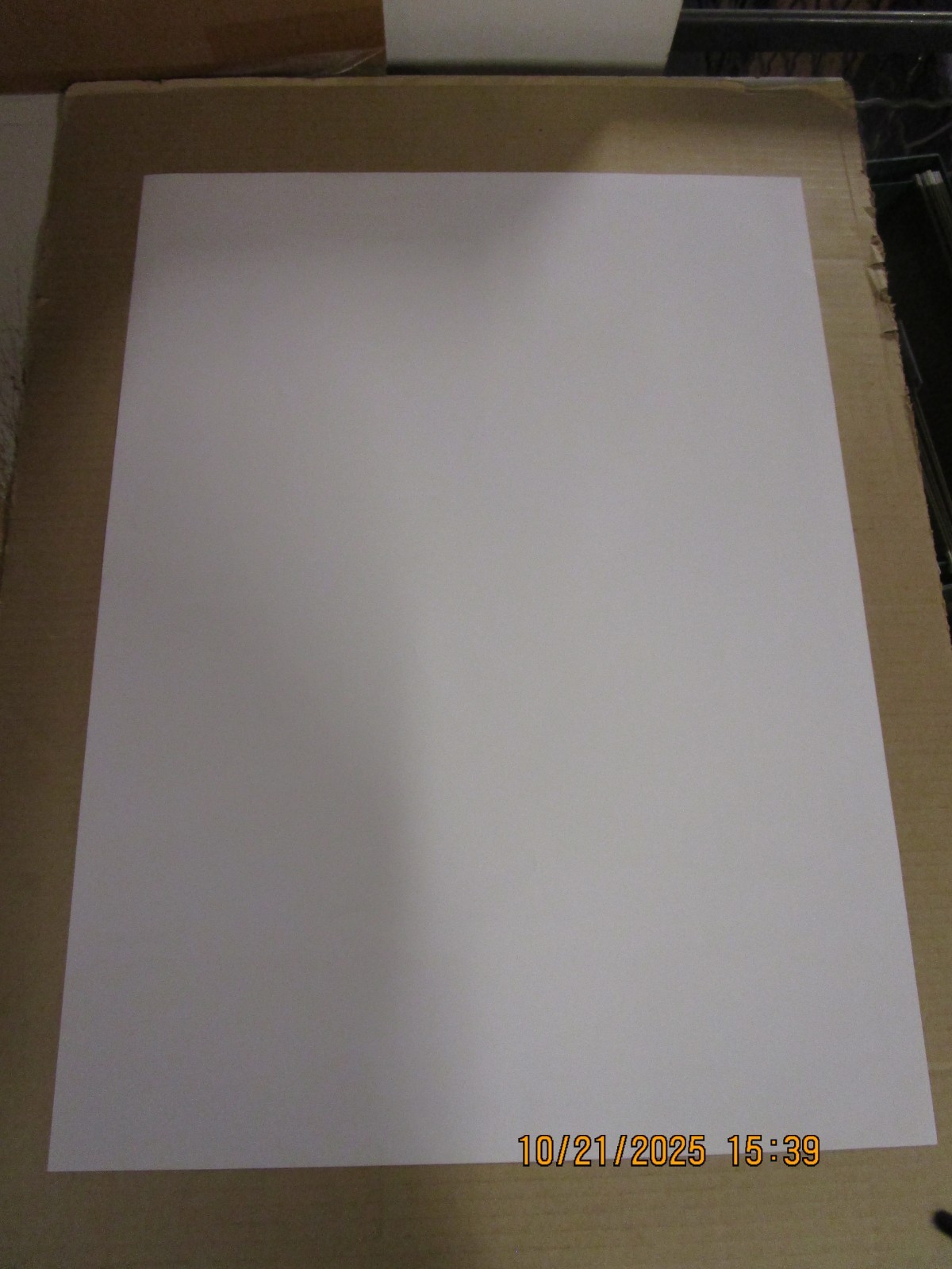 LIZ PHAIR Self Titled Single Sided Promo Poster New! Unused! 2003 Capitol Indie