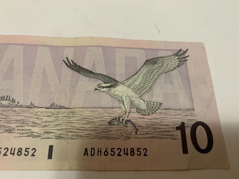 Canada 10 Dollars 1989