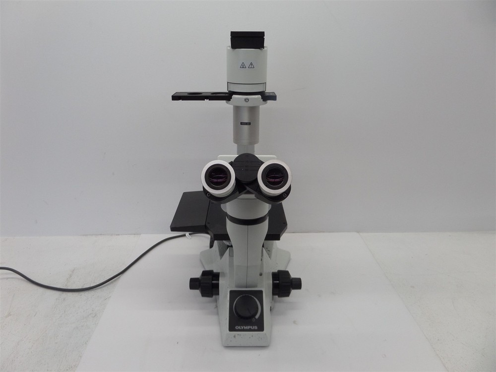 Olympus CKX41 Inverted Phase Contrast Microscope