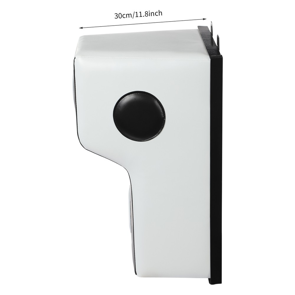 Wall-Mounted Boxing Training Target for Punches and Uppercuts