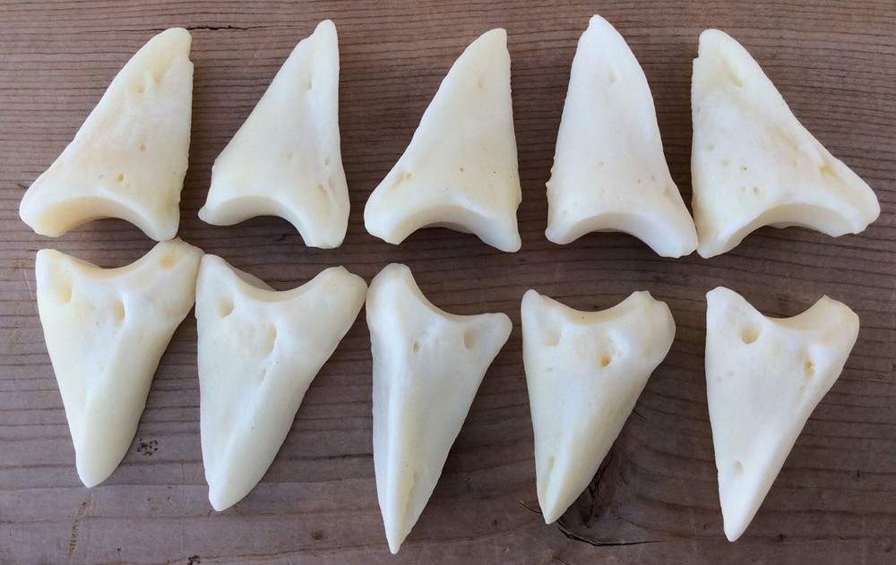 10 Deer Distal Phalanx Bones Knuckle Bones Phalanges