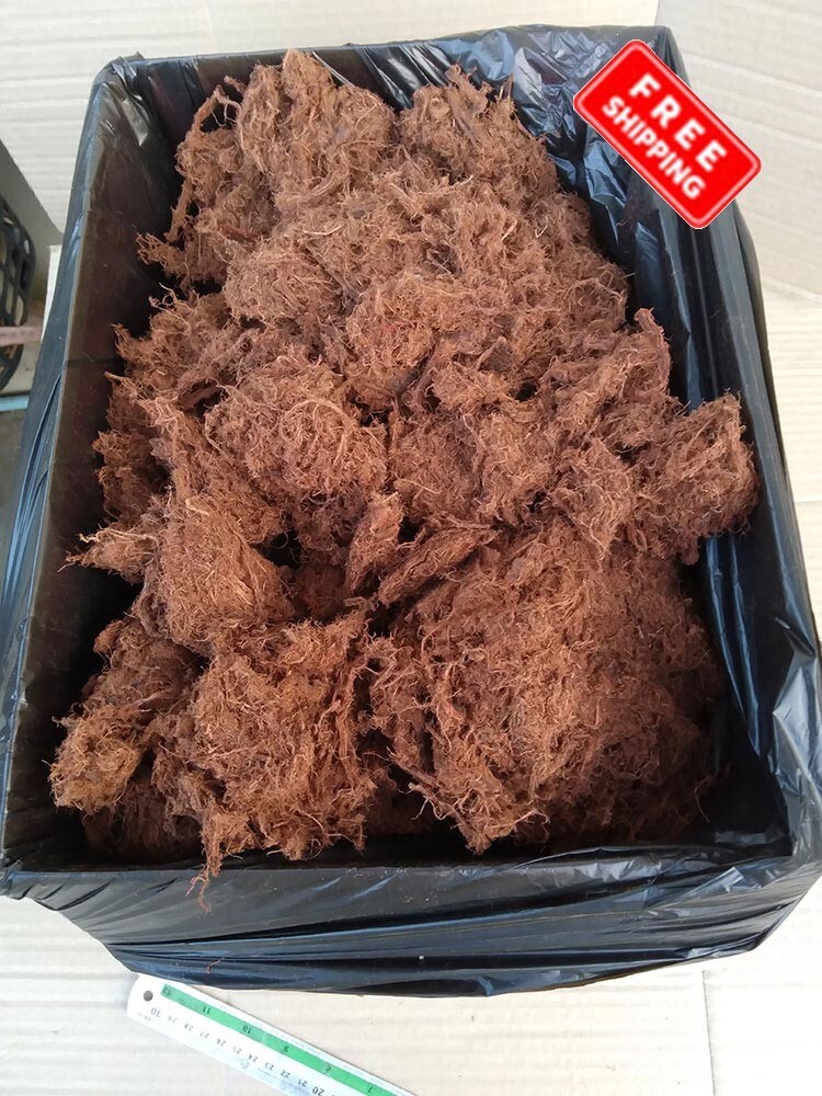 1K Catechu Bark for simulating blackwater condition in the aquarium, betta, fish