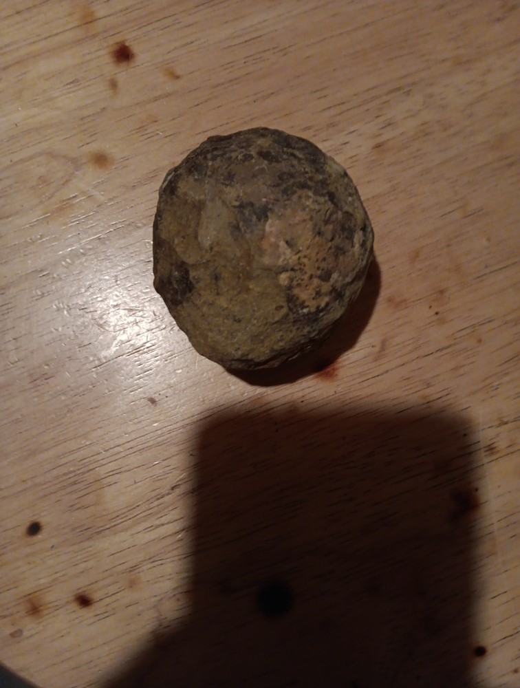 Full Stone Fossil Trilobite