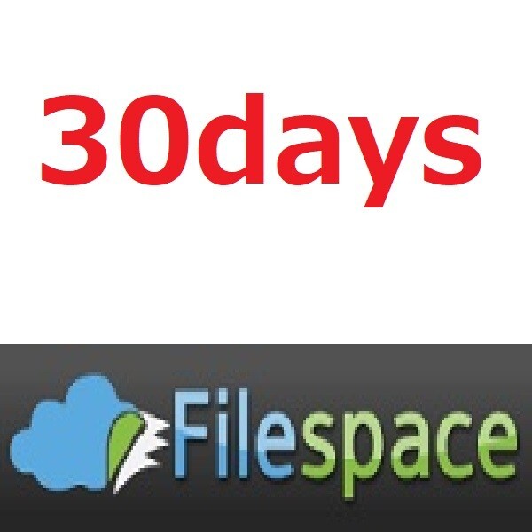 Filespace  30days Premium