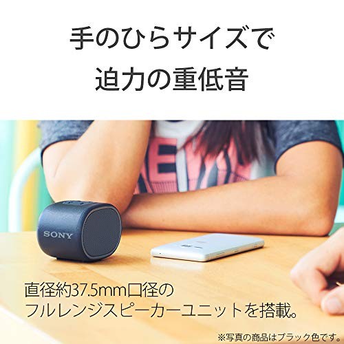 Sony Wireless Portable Speaker Waterproof Bluetooth with Microphone White