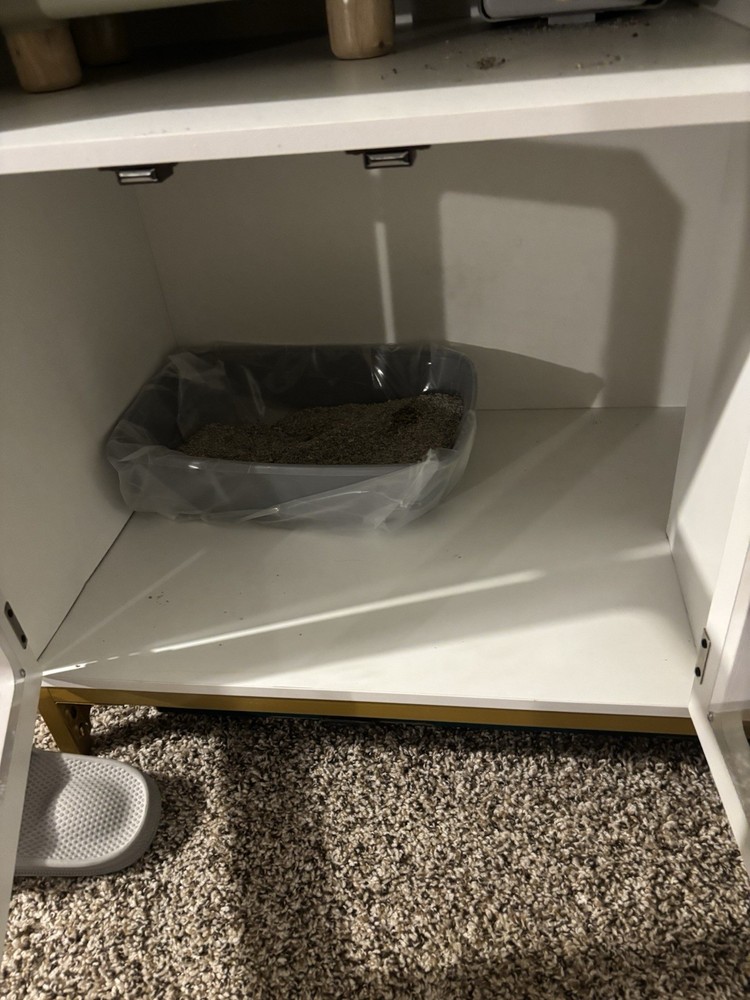 Cat litter Box Enclosure