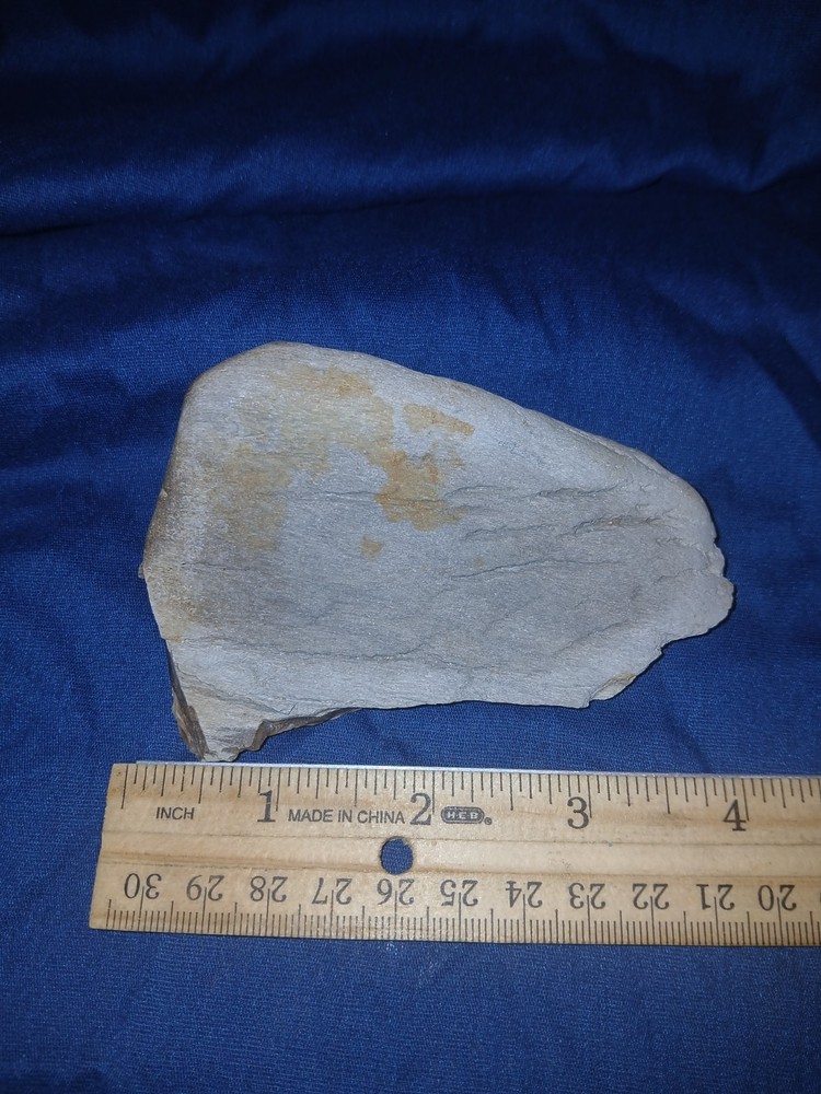 6.2 oz Petrified Wood