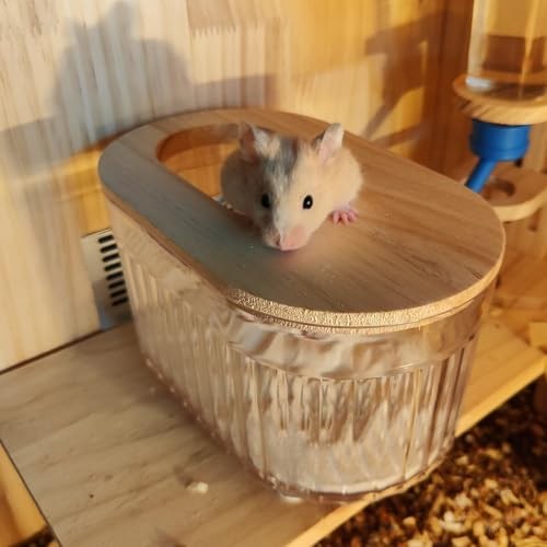Transparent Oval Hamster Sand Bath Box for Hamster Cage Accessories, Digging