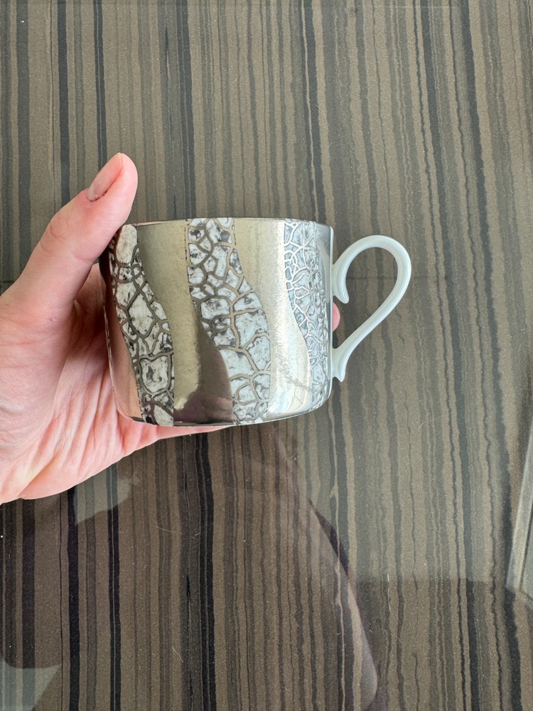 Tempio Luna Platinum by Michael Wainwright SET – FINE BONE CHINA