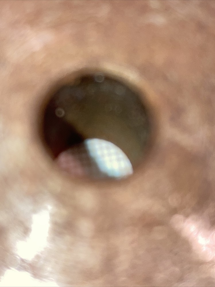 Browning NSS2050 Gear