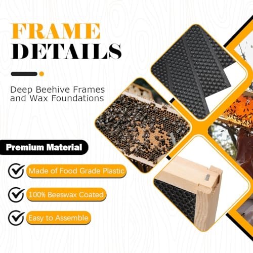20 Pack Beehive Frames and Waxed Foundations for Deep Brood Bee Hives 20-Pack