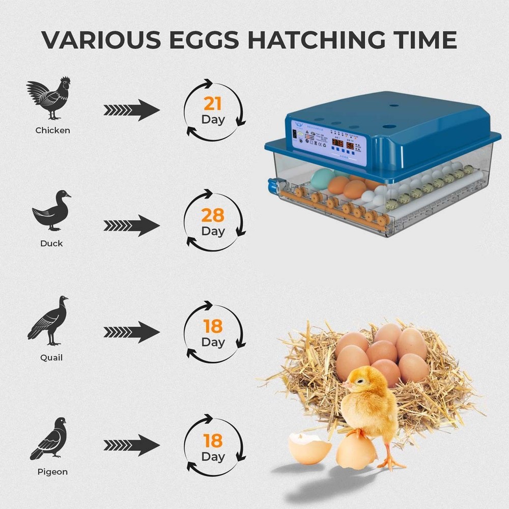 36 Egg Incubator with Auto-Turning,Temperature Humidity Control Egg Hatcher Bule