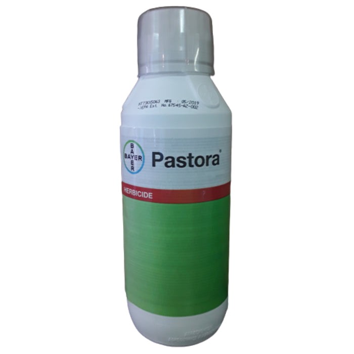 Pastora 20oz