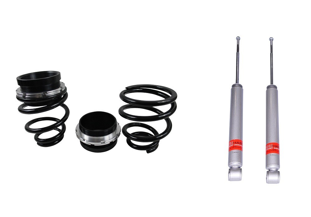 2012+ Civic Rear Hi-Lo Spring Coilover Kit w/ Shocks