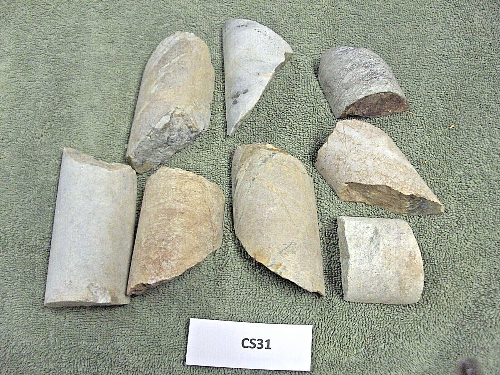 Split Core Samples From Alaska Gold Mine 8 Pieces Drill Core Samples CS31