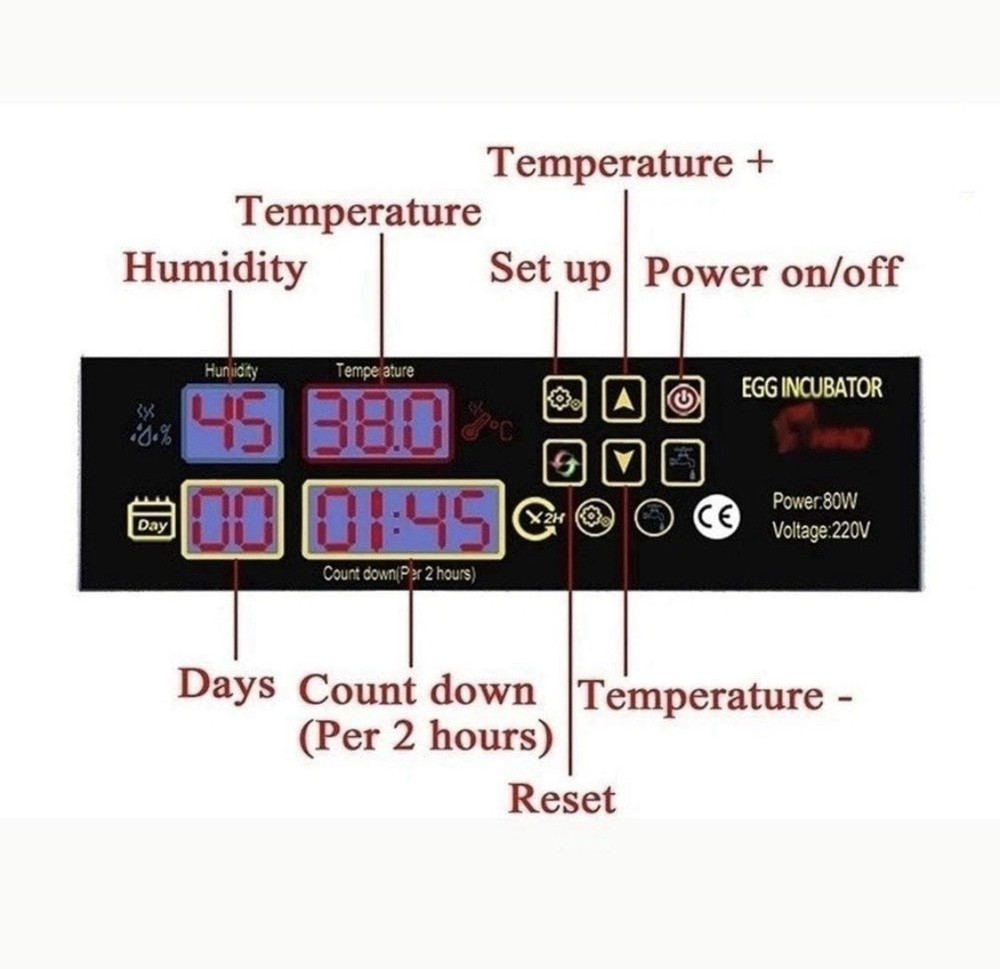 56 Digital Egg Incubator with Automatic Turner, Display, Green