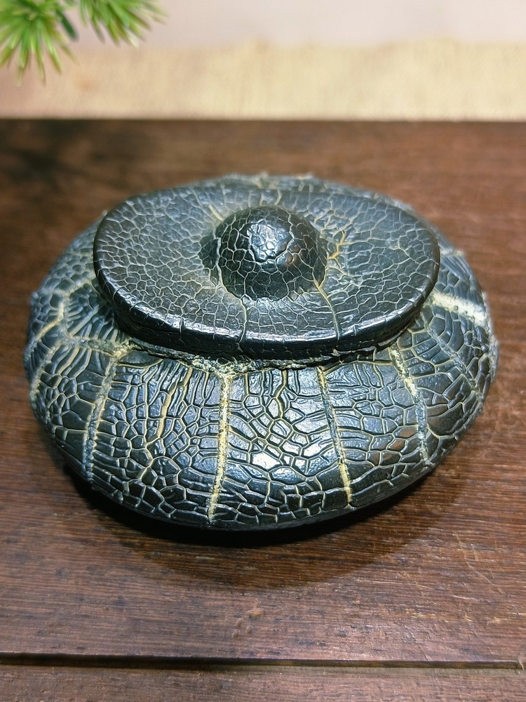 China Natural stone "tortoise back pattern" stone Moire stone  73694