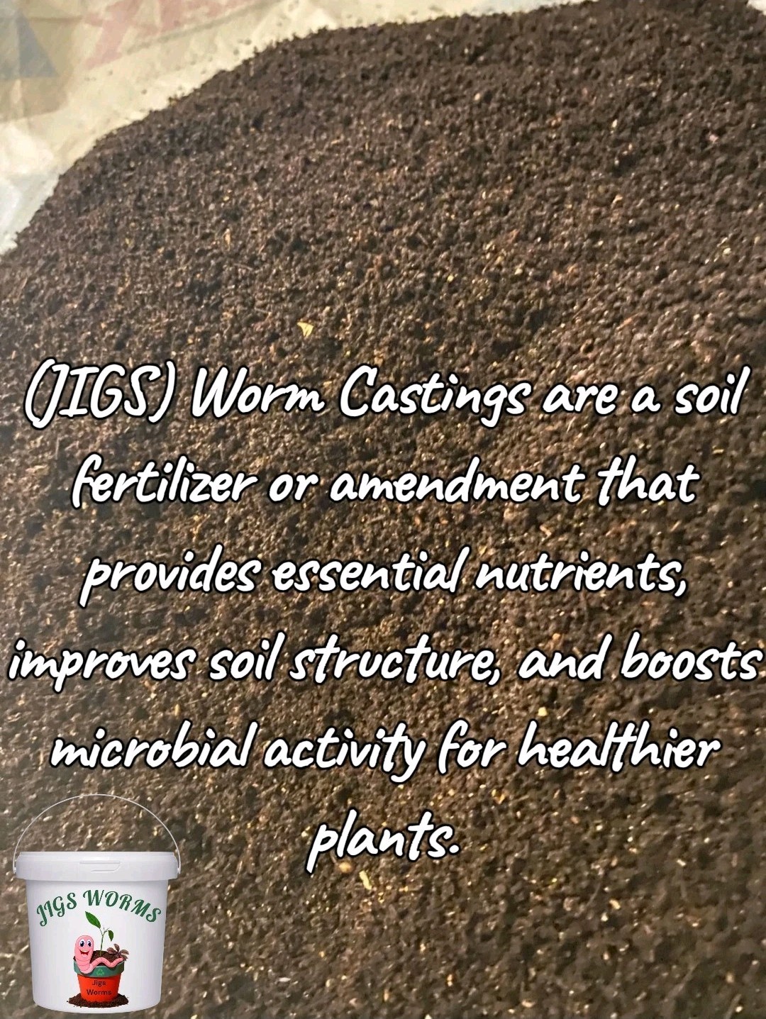 (JIGS) Live PURE Red Wiggler Composting Worms, FREE SHIPPING! No Manure!