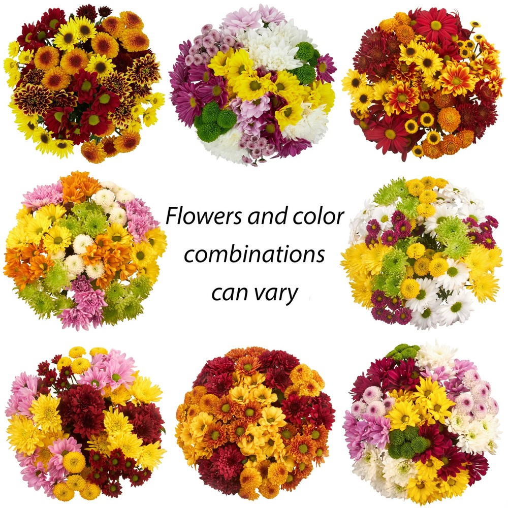 Rainbow Pom Flower Bunch Large