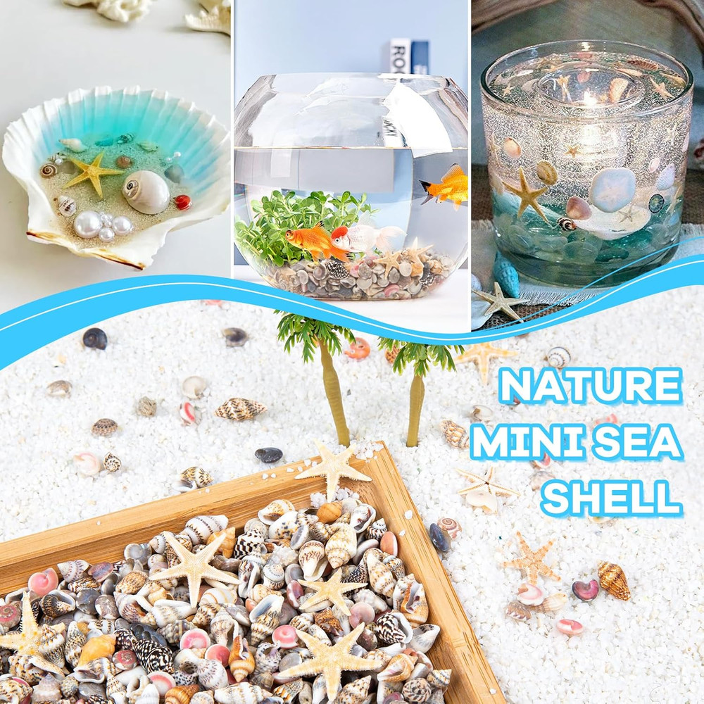 1200 PCS Tiny Seashells& 21 Starfish Mixed Bulk Beach Small Shells for Home Deco