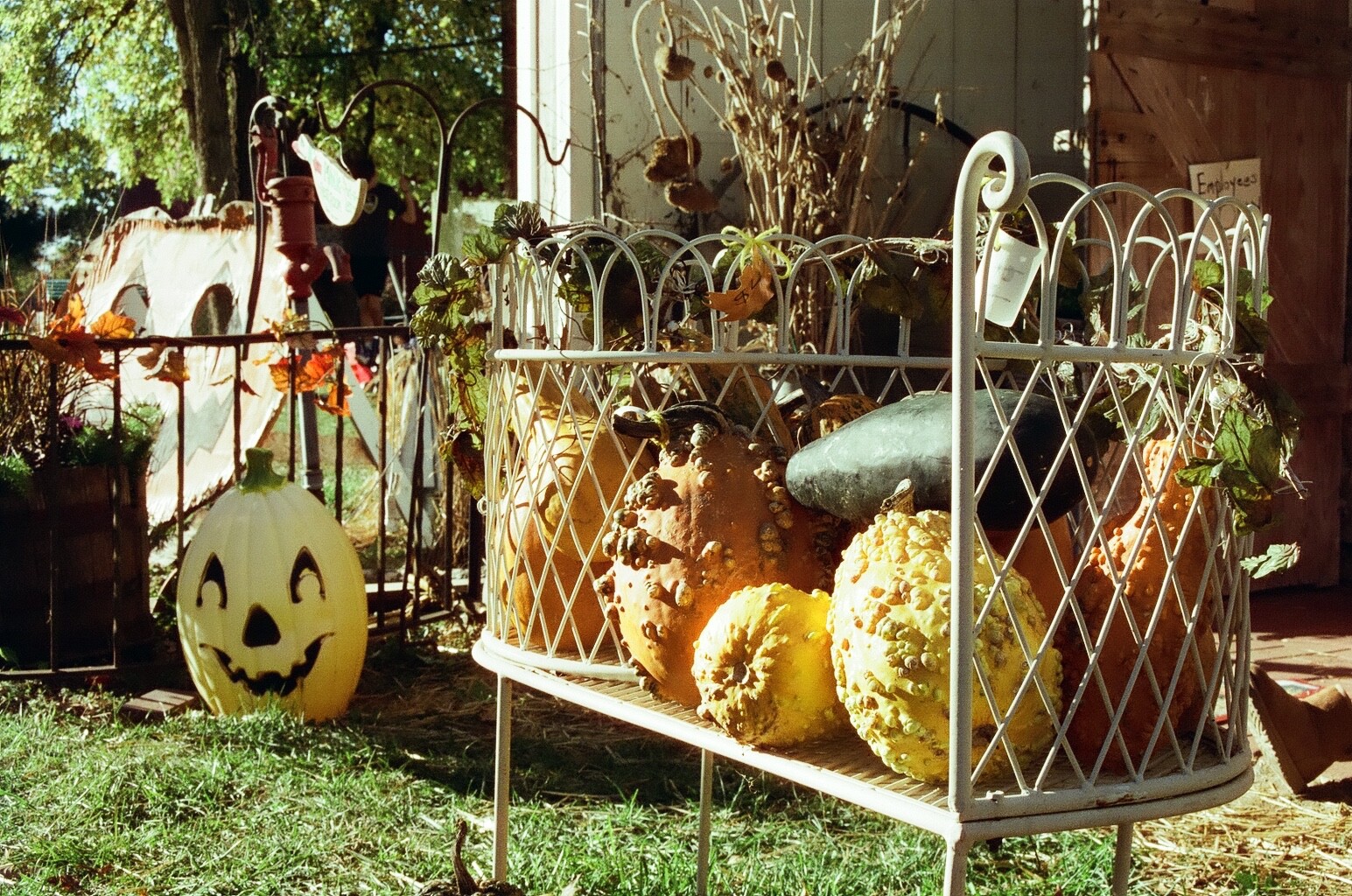 Cyberpunk 400D 36 exp C41 35mm Color Negative Film NO REMJET Kodak Vision3 250D