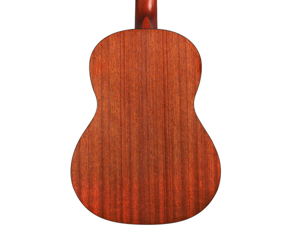 Cordoba Protégé CP100 Guitar Pack
