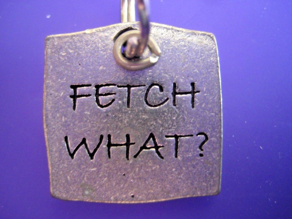 Fetch What? Metal Dog Collar Tag Charm NEW