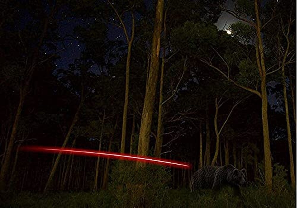 DEEPOWER Crossbow Lighted Nock with ON/Off Switch 4 Pack with .285”/.297&#