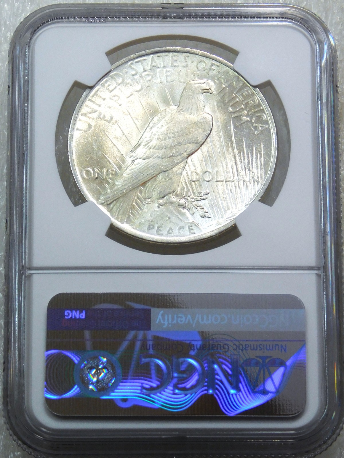 1923 Peace Silver Dollar NGC MS61 Frosty White Just Graded New Holder #V265K